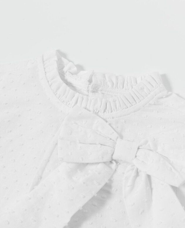 Camisa plumeti